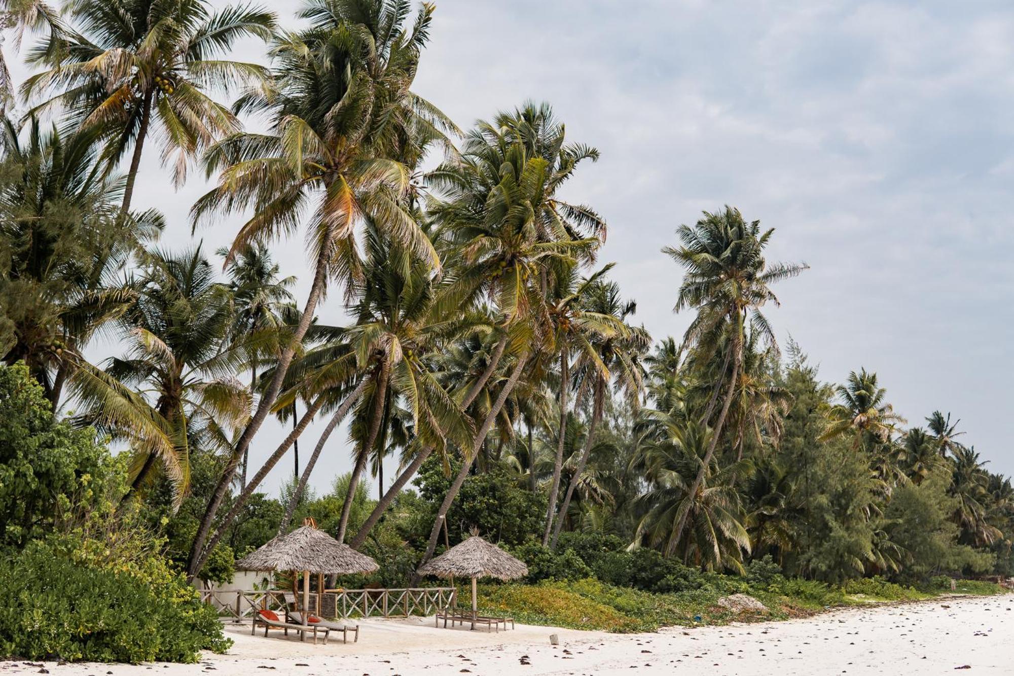 Kima Serviced Beach House & Suites Bwejuu Exteriér fotografie